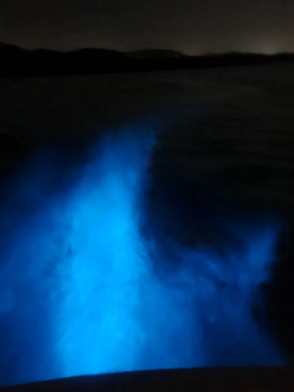 Real-life photograph from Captain Luis showing blue bioluminescent glow in disturbed water behind a boat in La Parguera
