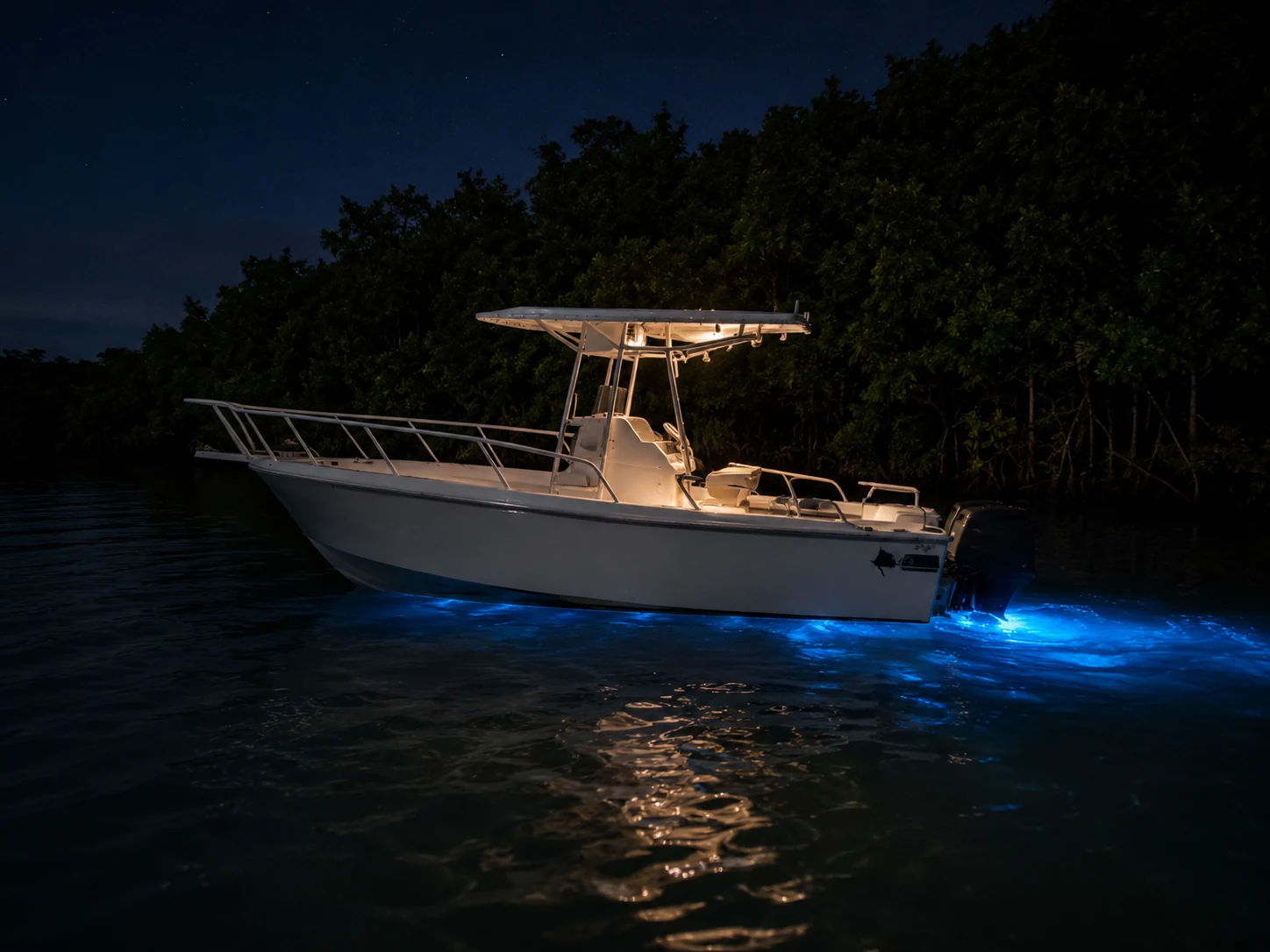 Captain Luis' boat on a private Bio Bay evening near the mangroves