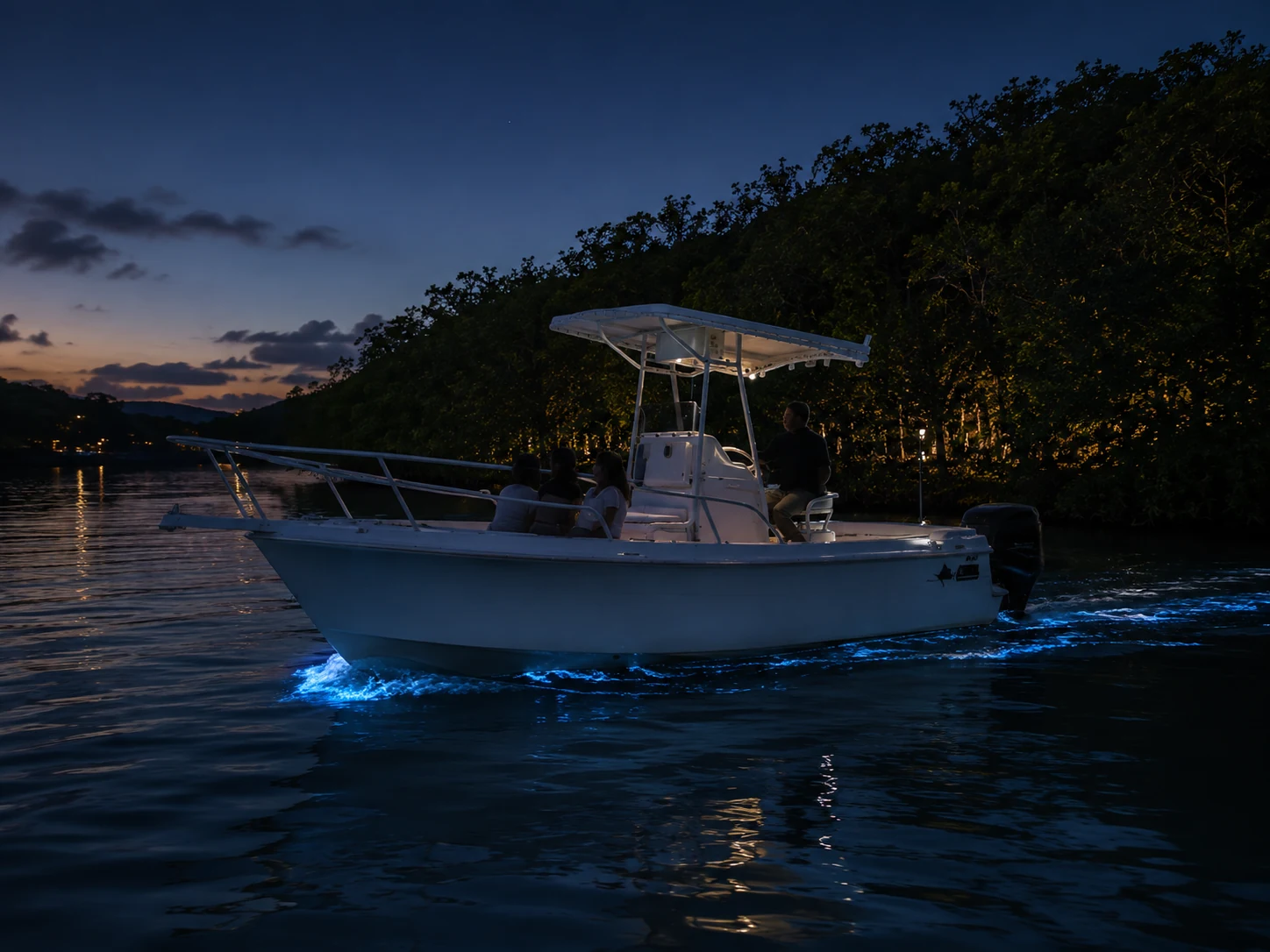 Private boat on glowing bioluminescent water in La Parguera