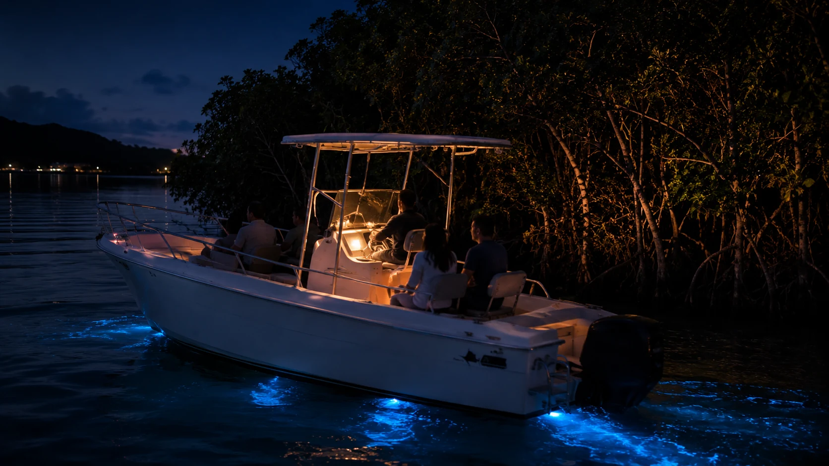 Boat moving beside a dark mangrove shoreline in La Parguera