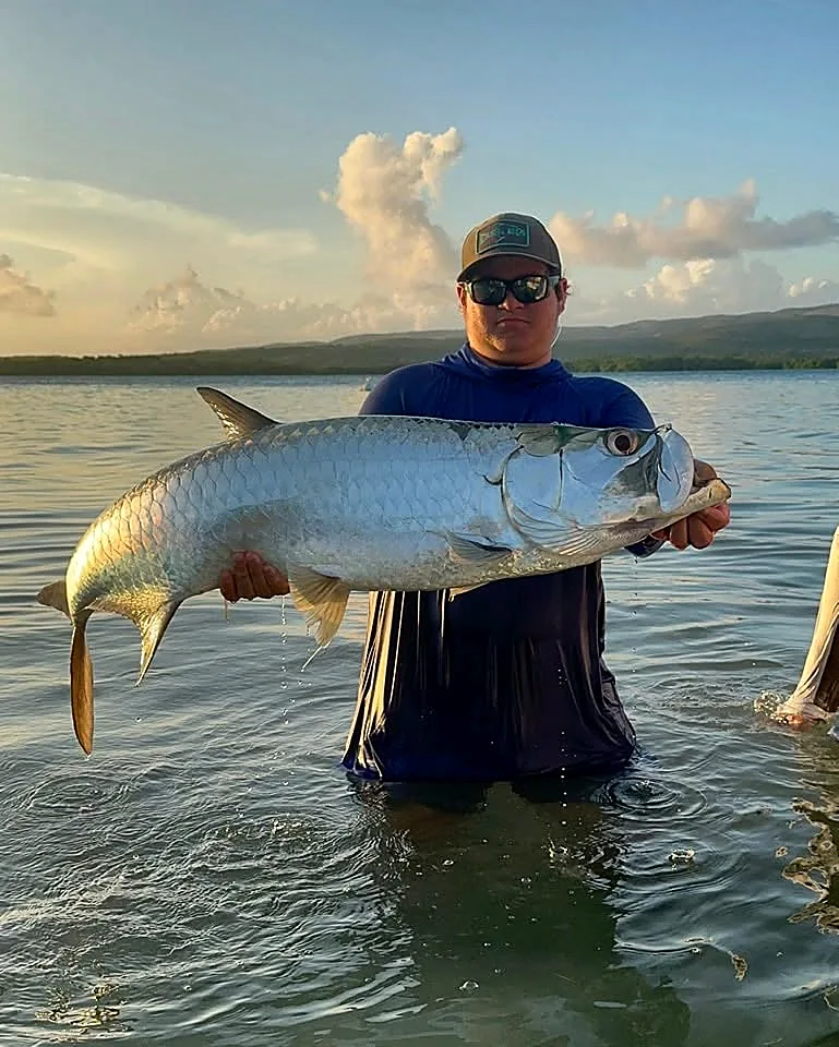Angler holding a large tarpon in warm sunset light in Puerto Rico.