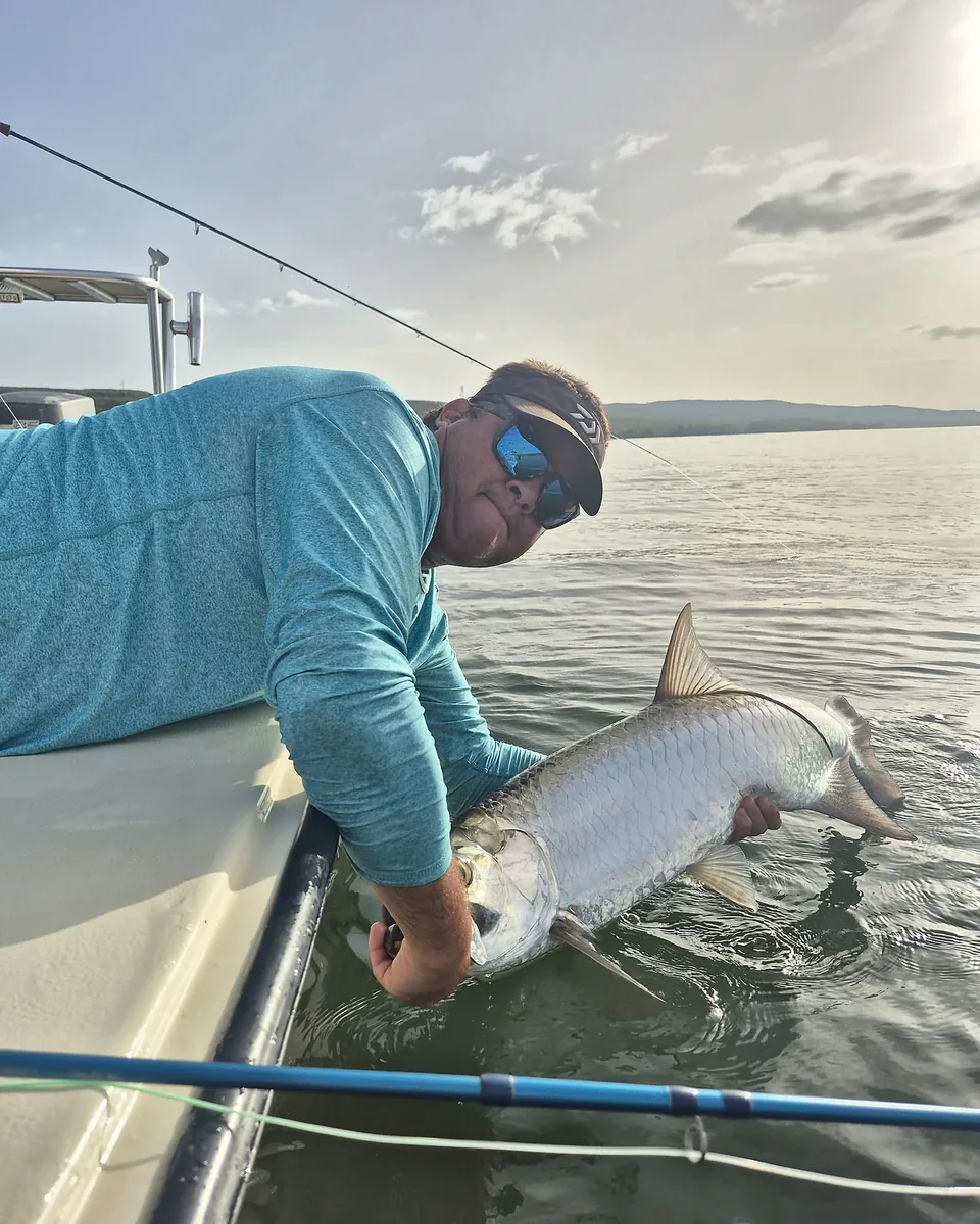 Captain carefully supporting a tarpon beside the boat before release.