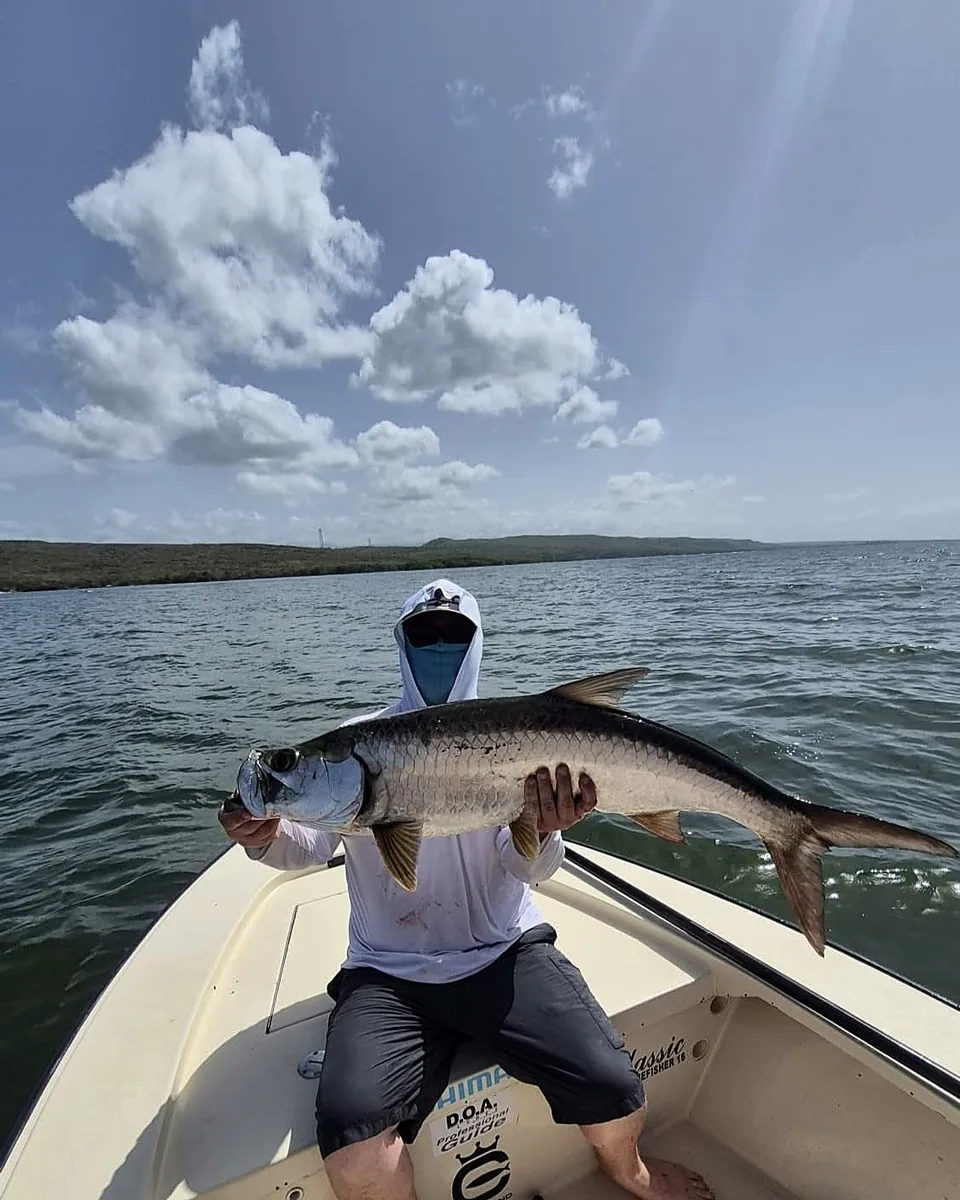 Angler seated on a skiff while holding a trophy tarpon near Cabo Rojo.